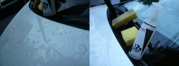 マイエターナルプロ　ファインプロテクト　撥水剤　コーティング　車　掃除　きれい　方法　エターナル (eternal)