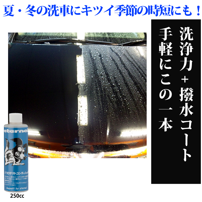 マイエターナル　プロテクトコンディショナー　洗車　洗剤　コーティング　撥水剤　車　掃除　きれい　方法　エターナル (eternal)